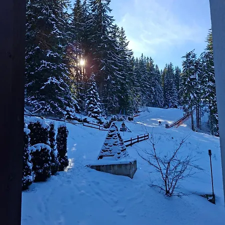 Daire Poseidon 205 Pamporovo